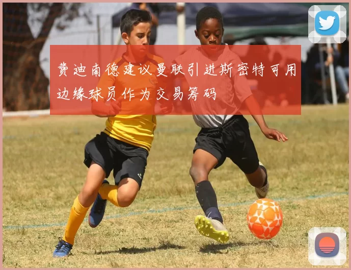 费迪南德建议曼联引进斯密特可用边缘球员作为交易筹码